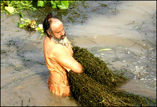 Eco Baba (Sant Balbir Singh Seechewal) cleaning river : A remarkable environmentalist